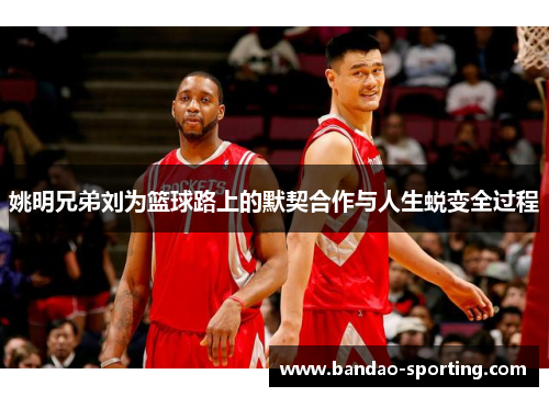 姚明兄弟刘为篮球路上的默契合作与人生蜕变全过程