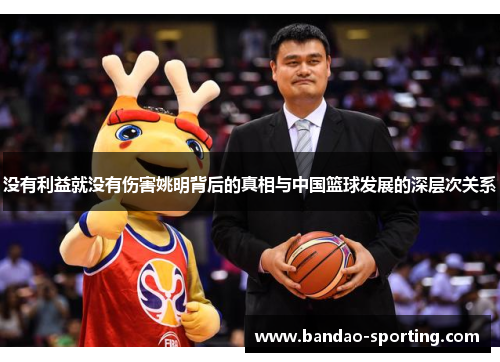 没有利益就没有伤害姚明背后的真相与中国篮球发展的深层次关系